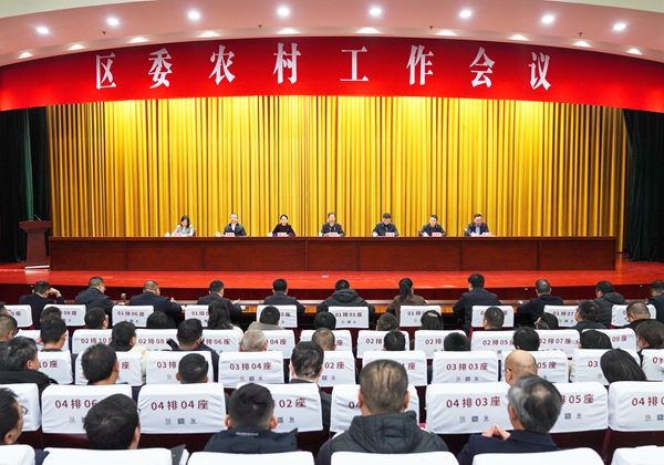 2月20日下午，區(qū)委召開農(nóng)村工作會議。徐浩翔 攝 (1).jpg